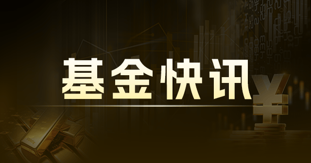 鹏华国证石油天然气ETF：
