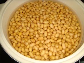 为什么巴西大豆产量高？